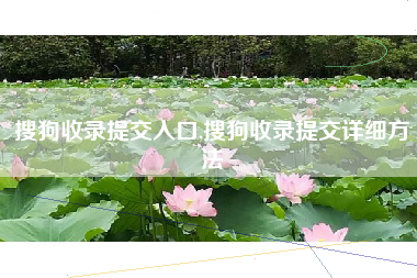 搜狗收录提交入口,搜狗收录提交详细方法
