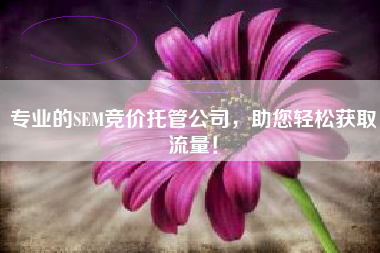 专业的SEM竞价托管公司，助您轻松获取流量！