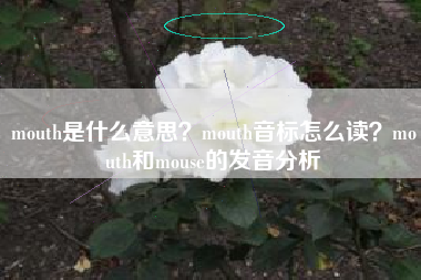 mouth是什么意思？mouth音标怎么读？mouth和mouse的发音分析