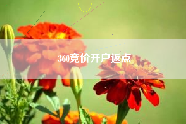 360竞价开户返点