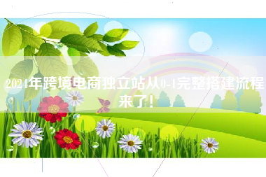 2024年跨境电商独立站从0-1完整搭建流程来了！