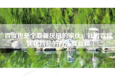 百度也是个喜新厌旧的家伙，针对百度优化网站的方法要新颖