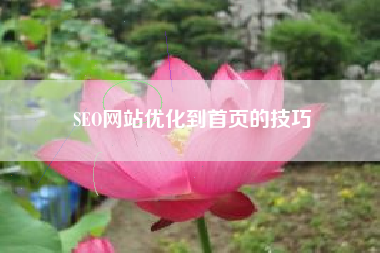 SEO网站优化到首页的技巧