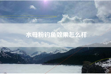 水母粉钓鱼效果怎么样