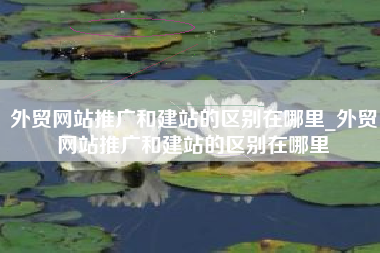 外贸网站推广和建站的区别在哪里_外贸网站推广和建站的区别在哪里