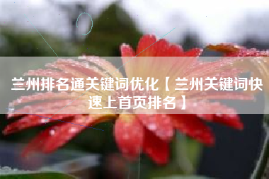 兰州排名通关键词优化【兰州关键词快速上首页排名】