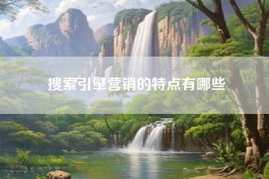 搜索引擎营销的特点有哪些