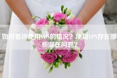 如何看待使用VPN的情况？使用VPN存在哪些潜在问题？