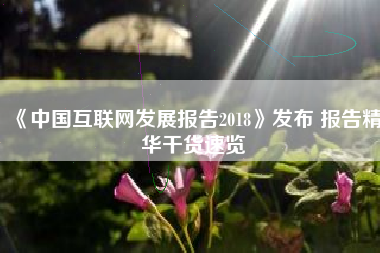 《中国互联网发展报告2018》发布 报告精华干货速览