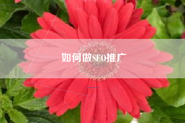 如何做SEO推广