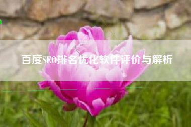 百度SEO排名优化软件评价与解析