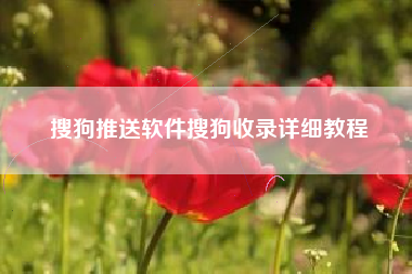 搜狗推送软件搜狗收录详细教程