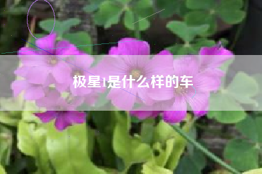极星1是什么样的车