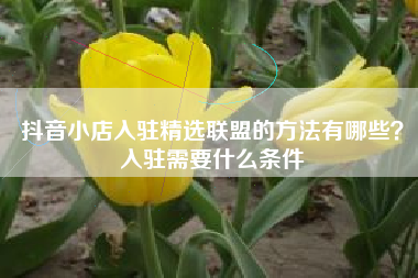 抖音小店入驻精选联盟的方法有哪些？入驻需要什么条件