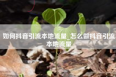 如何抖音引流本地流量_怎么做抖音引流本地流量