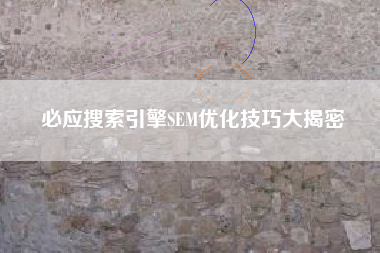必应搜索引擎SEM优化技巧大揭密