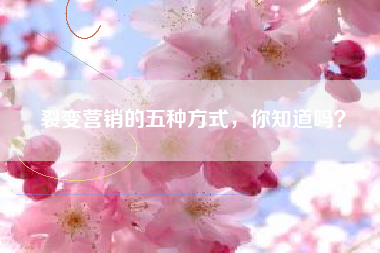 裂变营销的五种方式，你知道吗？