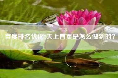 百度排名优化7天上首页是怎么做到的？