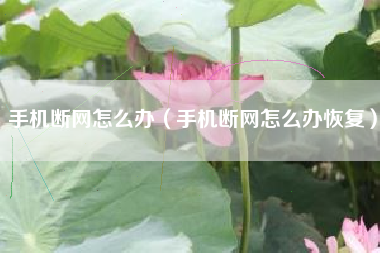 手机断网怎么办（手机断网怎么办恢复）
