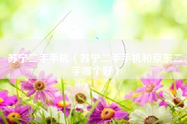 苏宁二手手机（苏宁二手手机和京东二手哪个好）