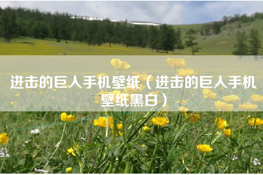 进击的巨人手机壁纸（进击的巨人手机壁纸黑白）