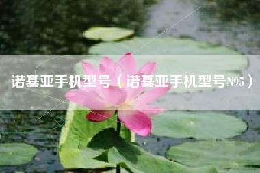 诺基亚手机型号（诺基亚手机型号N95）