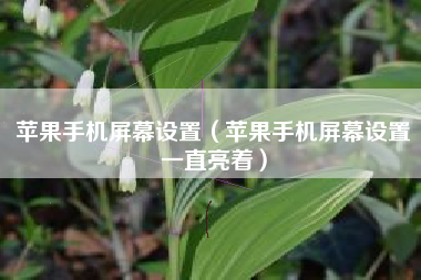 苹果手机屏幕设置（苹果手机屏幕设置一直亮着）