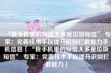 “我手机里的短信大多是垃圾短信” 专家：完善技术手段提升识别拦截能力手机信息「“我手机里的短信大多是垃圾短信” 专家：完善技术手段提升识别拦截能力」
