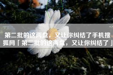 第二批的这两盘，又让你纠结了手机搜狐网「第二批的这两盘，又让你纠结了」