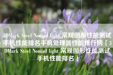3DMark Steel Nomad light 常规图形性能测试手机性能排名手机处理器性能排行榜「3DMark Steel Nomad light 常规图形性能测试手机性能排名」