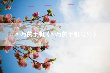 20万的手机（20万的手机号码）