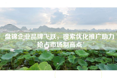 盘锦企业品牌飞跃，搜索优化推广助力抢占市场制高点