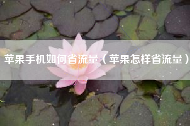 苹果手机如何省流量（苹果怎样省流量）