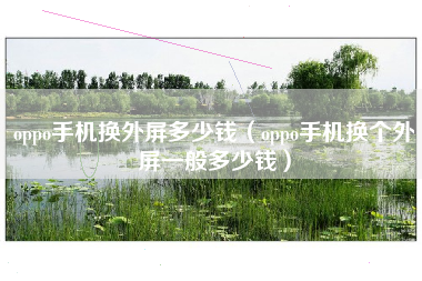 oppo手机换外屏多少钱（oppo手机换个外屏一般多少钱）