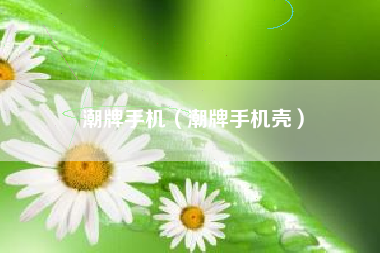 潮牌手机（潮牌手机壳）