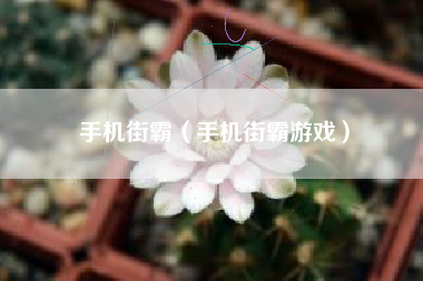 手机街霸（手机街霸游戏）
