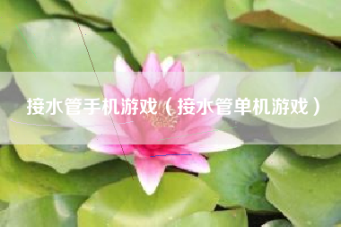 接水管手机游戏（接水管单机游戏）