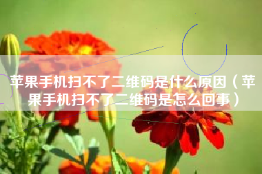 苹果手机扫不了二维码是什么原因（苹果手机扫不了二维码是怎么回事）
