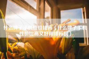 什么牌子手机性价比高（什么牌子手机性价比高又好用排行榜）