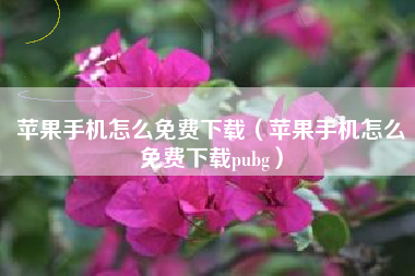 苹果手机怎么免费下载（苹果手机怎么免费下载pubg）