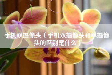 手机双摄像头（手机双摄像头和单摄像头的区别是什么）