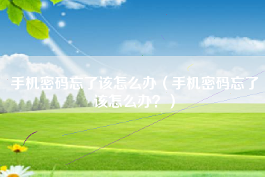 手机密码忘了该怎么办（手机密码忘了该怎么办？）