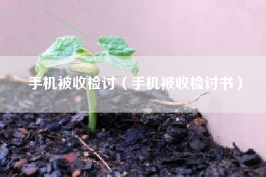 手机被收检讨（手机被收检讨书）