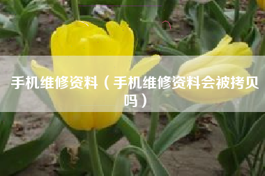 手机维修资料（手机维修资料会被拷贝吗）
