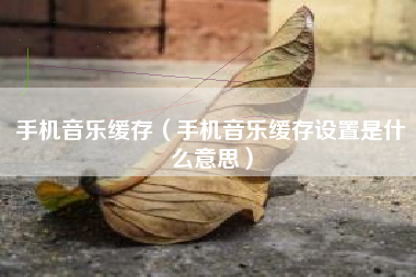 手机音乐缓存（手机音乐缓存设置是什么意思）