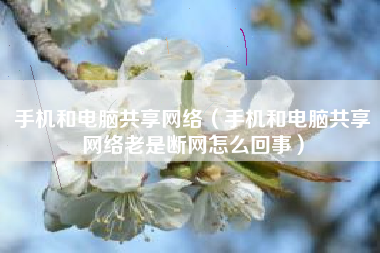 手机和电脑共享网络（手机和电脑共享网络老是断网怎么回事）