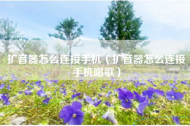 扩音器怎么连接手机（扩音器怎么连接手机唱歌）