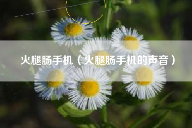 火腿肠手机（火腿肠手机的声音）