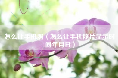 怎么让手机照（怎么让手机照片显示时间年月日）
