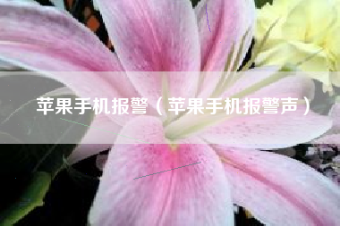 苹果手机报警（苹果手机报警声）